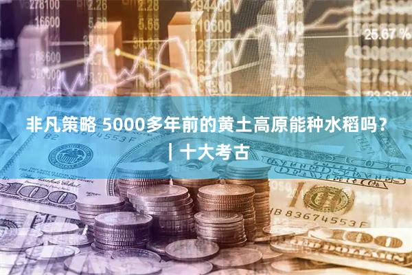 非凡策略 5000多年前的黄土高原能种水稻吗？｜十大考古